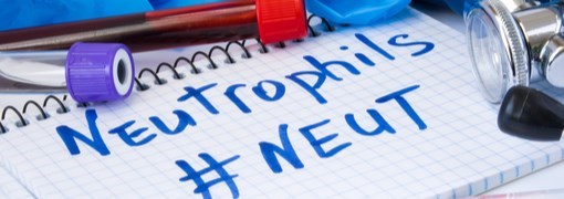 בדיקת נויטרופילים (Neutrophils) - תמונה